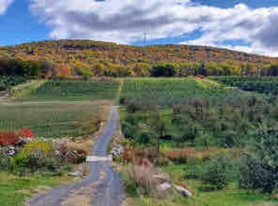 The Juniper House Near Poughkeepsie & New Paltz Ferienhaus *